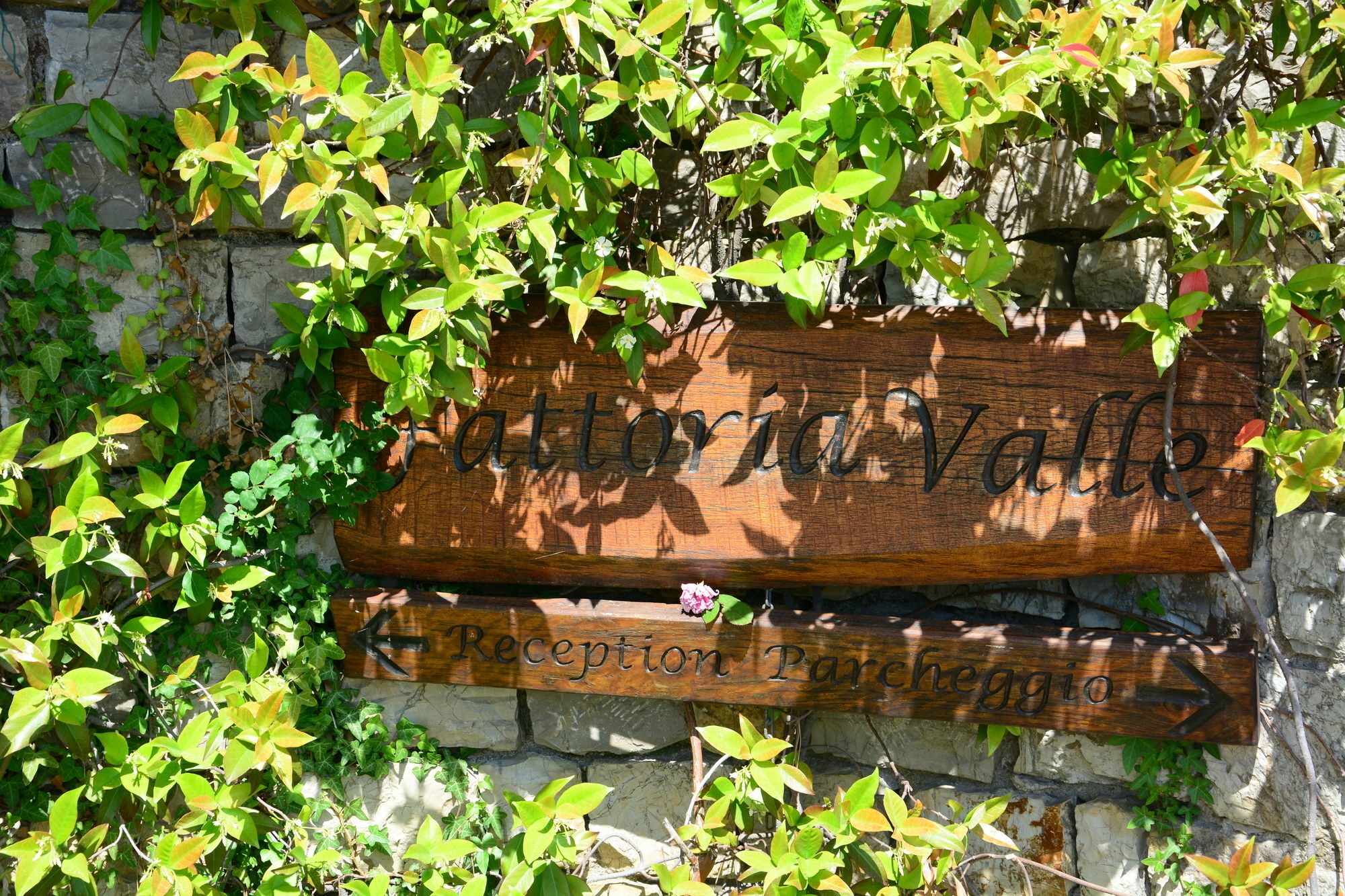 Relais Fattoria Valle Panzano in Chianti Exterior photo